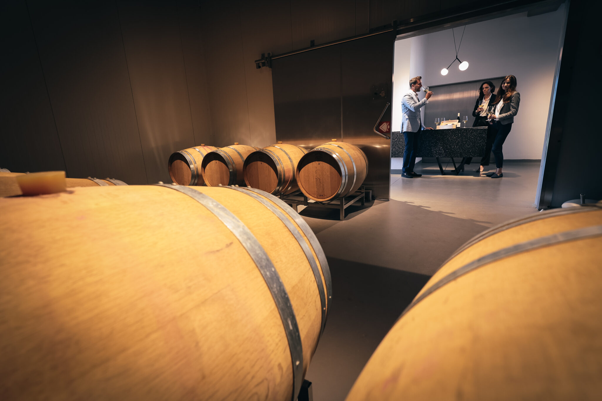 vilavin full foto david peltan 2092 2048x1365