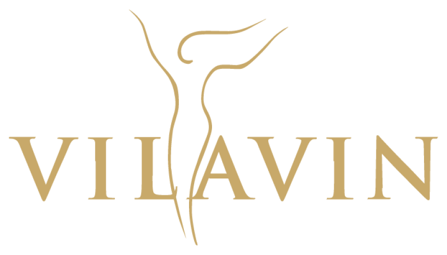 logo-vilavin2