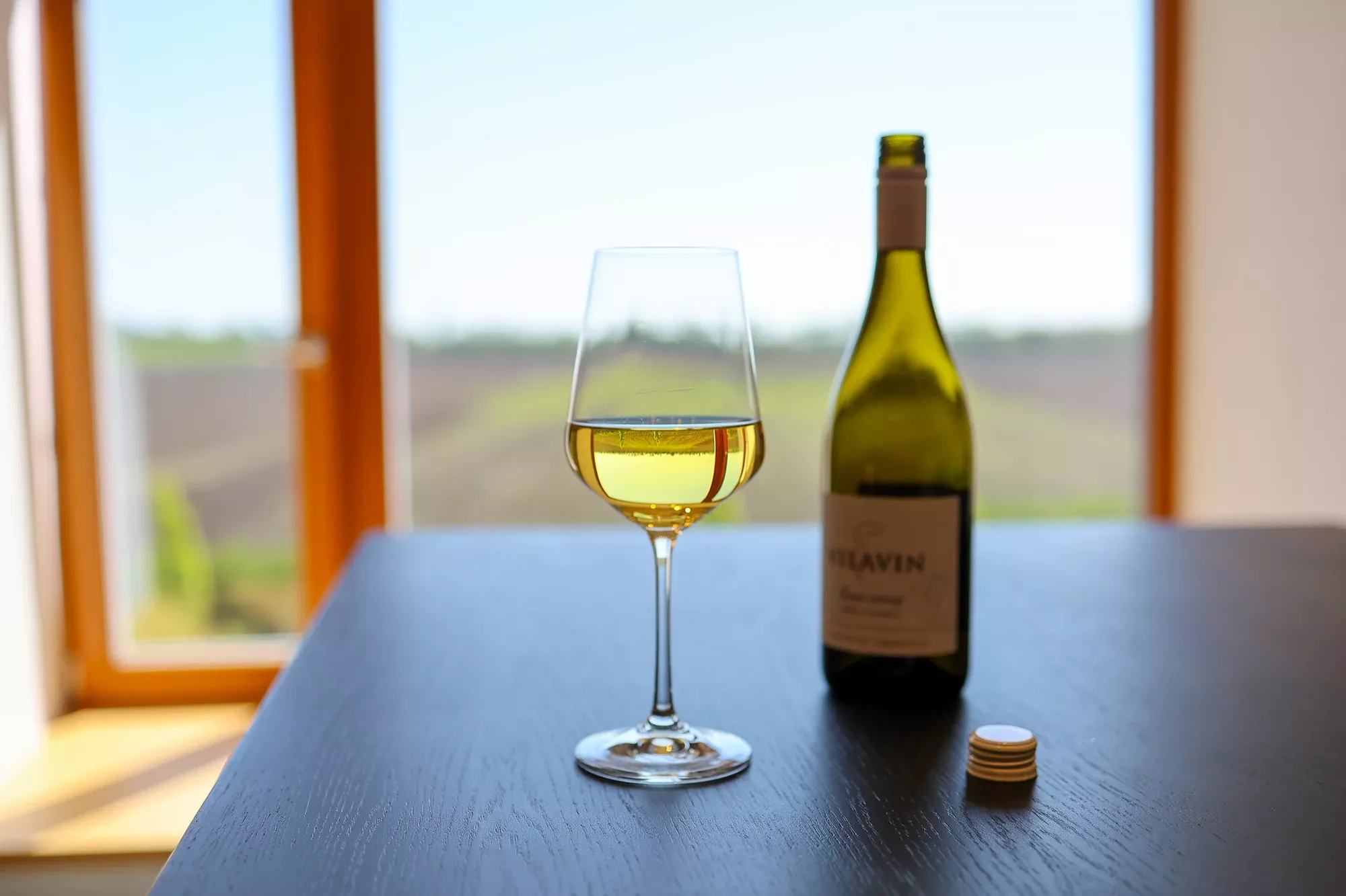 VILAVIN je vinařství, kde víno zní.