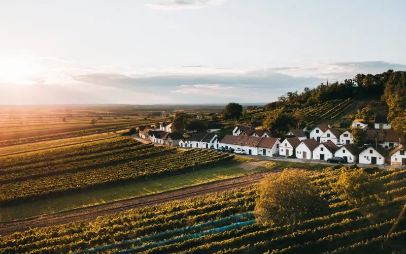 Uličky s vinnými sklepy Galgenberg