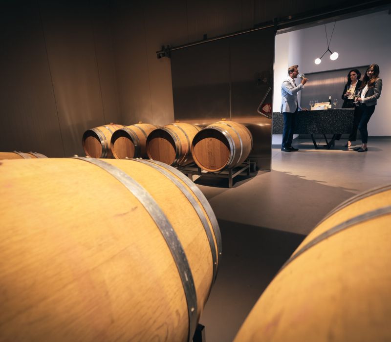 Limitovaná edice barrique vín