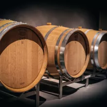 Základní degustace