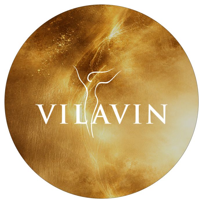 VILAVIN
