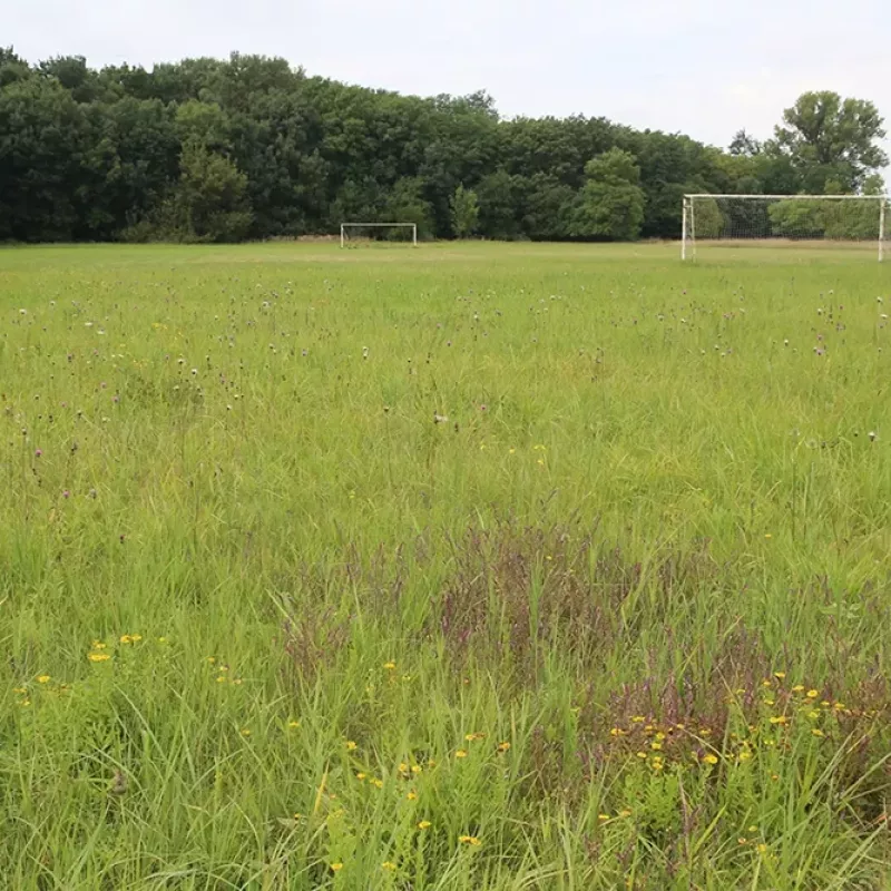 Slanisko Dobré Pole